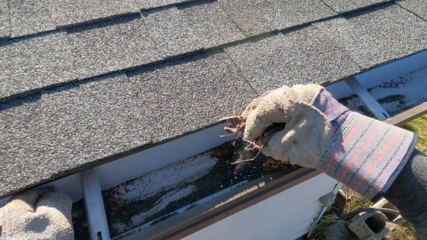 Fast Gutter Cleanings